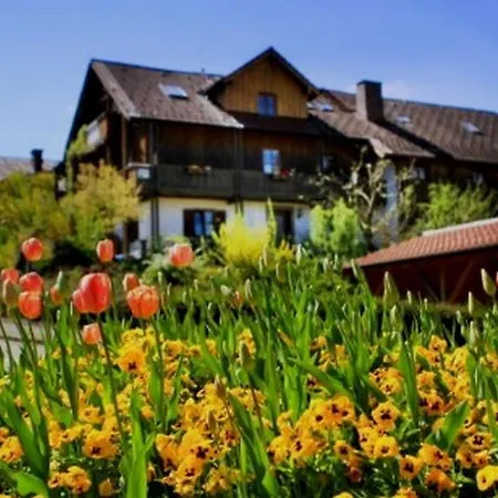 Gaestehaus Hoefler Apartment Bayerisch Gmain